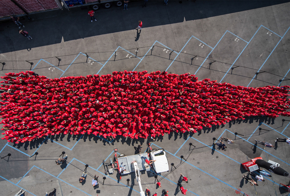 coca cola hbc italia srl nogara